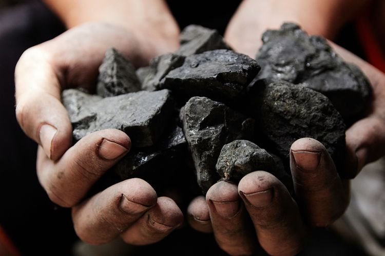 Soal Batu Bara, Indonesia 'Raja' Dunia Soal Batu Bara, Indonesia 'Raja' Dunia
